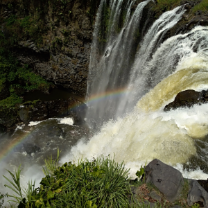 LA MÁGICA EXPERIENCIA DE LOS TUXTLAS