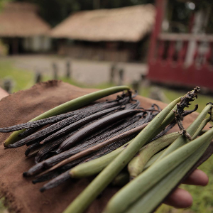 LA VAINILLA Y LA MAGIA DE SU SABOR