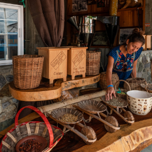 DEGUSTACIÓN DE CAFÉ LOCAL